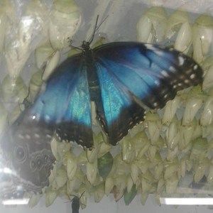 Meet your Posher, Cathie